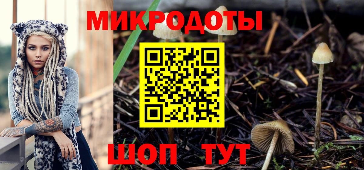 Псилоцибиновые грибы ЛСД  Псилоцибиновые грибы Cubensis  Вход с VPN  Камень-на-Оби 