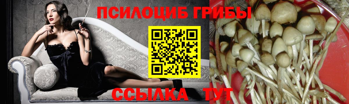 Галлюциногенные грибы Magic Shrooms Камень-на-Оби